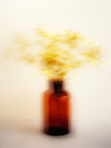 Untitled (Yellow), 2023, 1/7