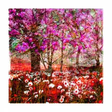 Mixed Forest No. 60 1/3 (ROTTERDAM)