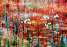 Watercolours No. 14 1/3 *