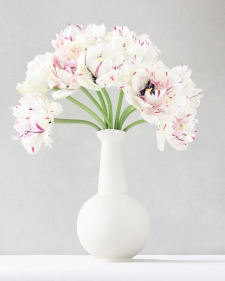 wilde-tulips-in-a-white-vase-1-5