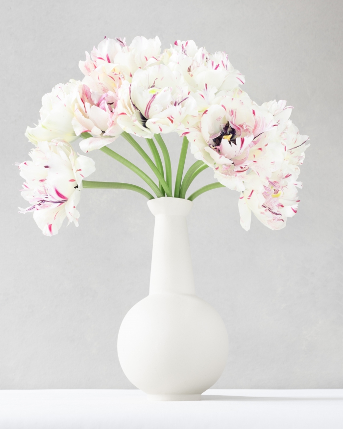Wilde Tulips in a white vase 1/5