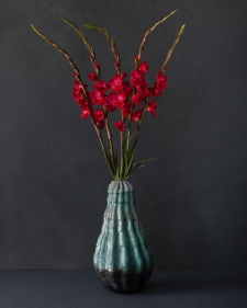 Gladiolus in a blue vase 1/5