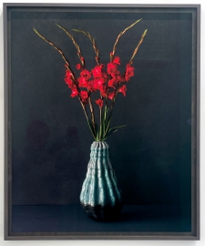 Gladiolus in a blue vase 1/5