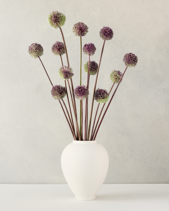 Allium in a white vase 2/5