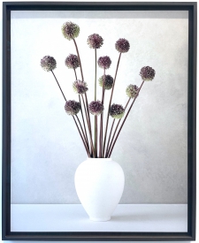 Allium in a white vase 2/5