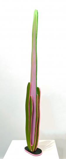 Untitled (lange cacti)