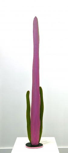 Untitled (lange cacti)