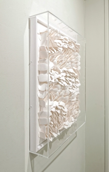 Wave in plexiglas box *
