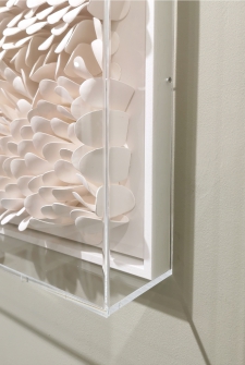Wave in plexiglas box *