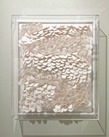 Wave in plexiglas box *