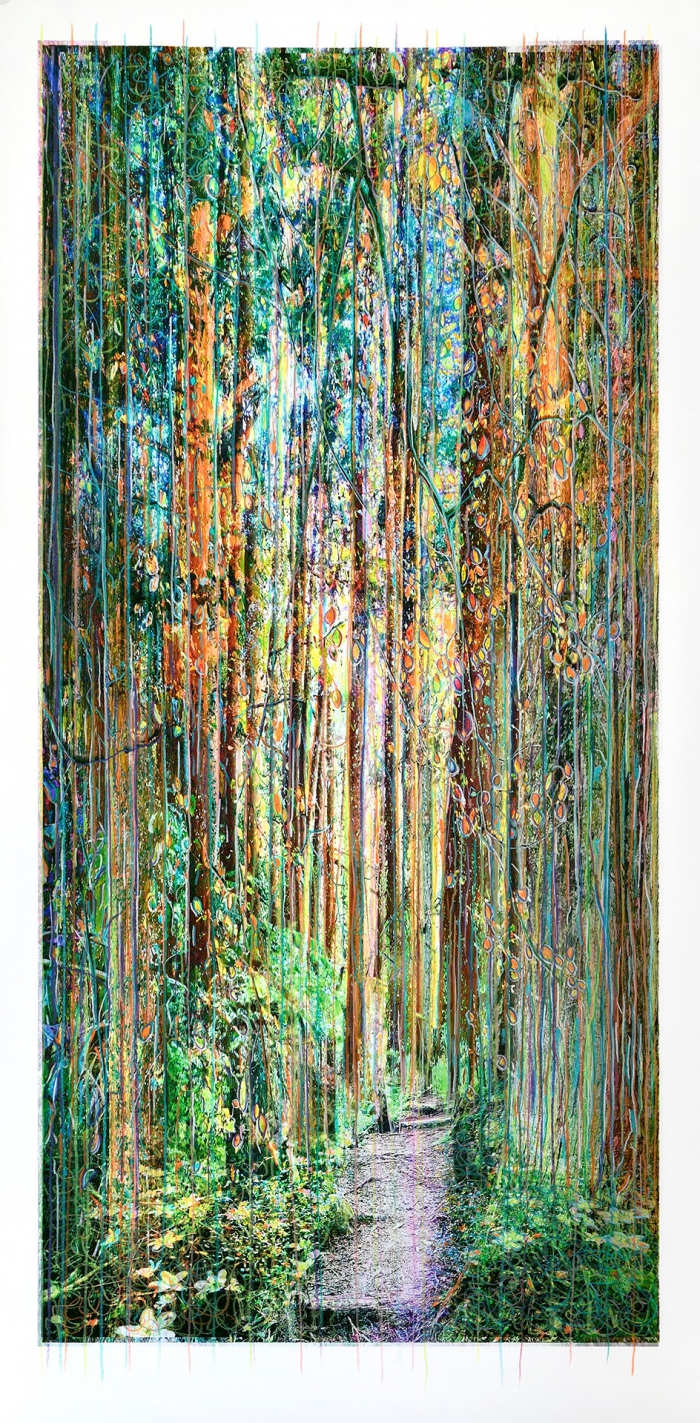 Collected Forest No.21