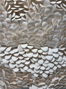 Wave - plexi