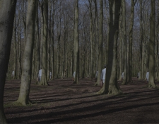Haagse Bos I - 1/10