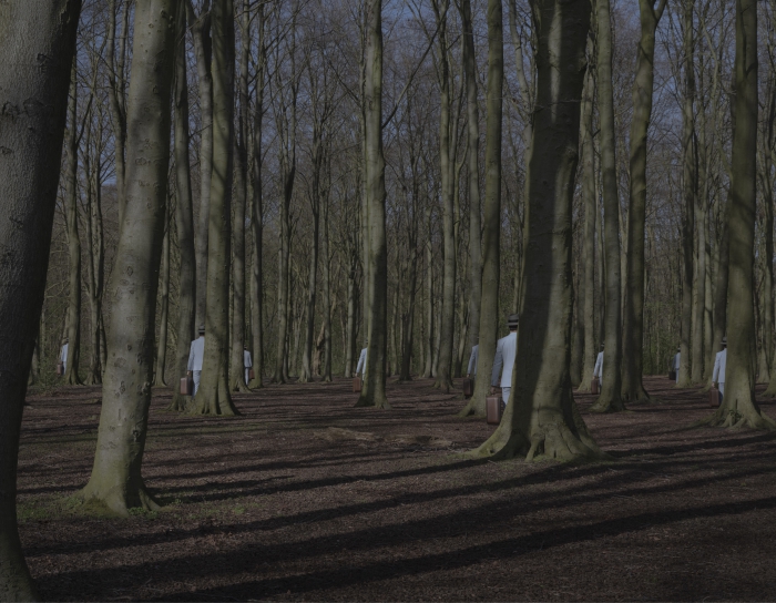 Haagse Bos I - 1/10 *