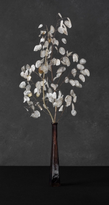 Judas medal in a brown vase - black - 2/5 *