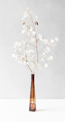 Judas medal in a brown vase - white  - 2/5 *
