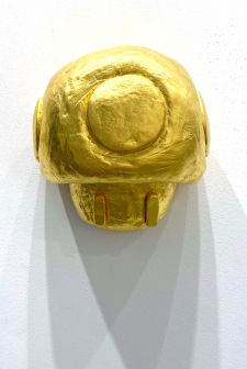 Facial: Toad