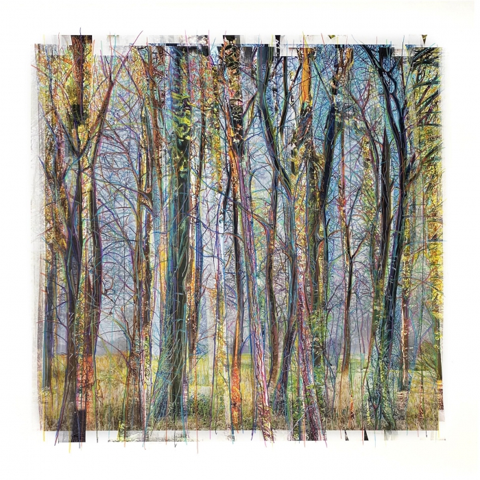Collected Forest / No. 03.2