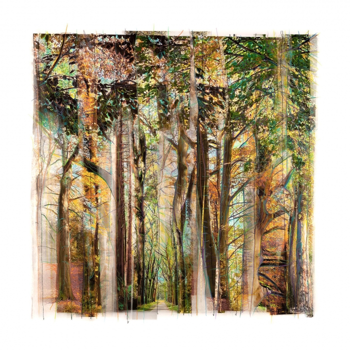 Collected Forest / No. 06.1