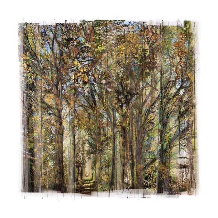 Collected Forest / No. 08.1