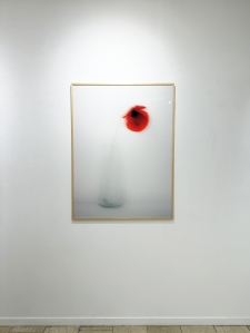 Pietradefusi (red) - 1/3
