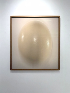 egg-of-columbus-5-7