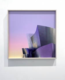 The Lavander Sunrise