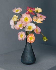 poppies-in-a-blue-vase-2-10