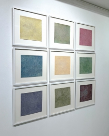 Colorfields (prijs per stuk)