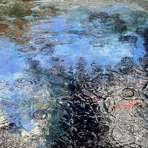 C2024_D08
