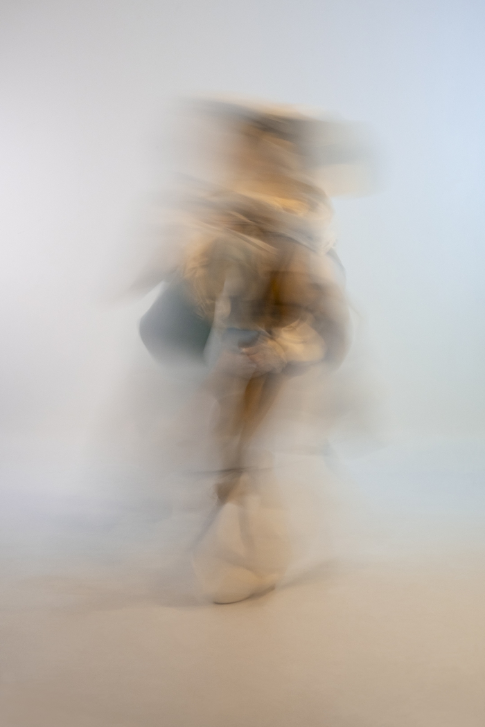 The musician 1/4