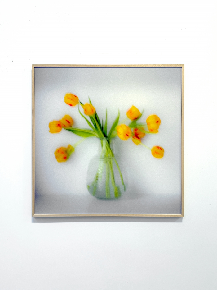 Untitled (Yellow II) - 1/3