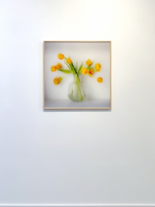 Untitled (Yellow II) - 1/3