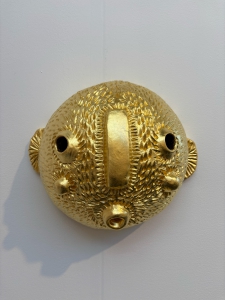 facial-fish-eye