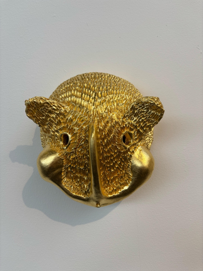 Facial: Serengeti Cat