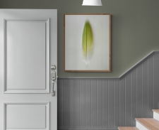 Little Greene - 3/8