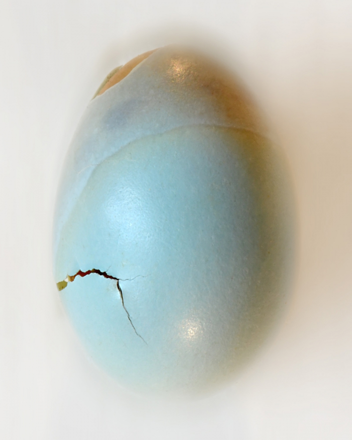 Smurf - 2/8