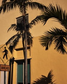 miami-fragments-4
