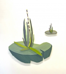large-stone-with-green-and-green-tuft-on-stone