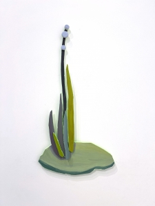 Large green tuft on stone