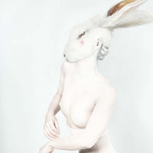 The White Rabbit