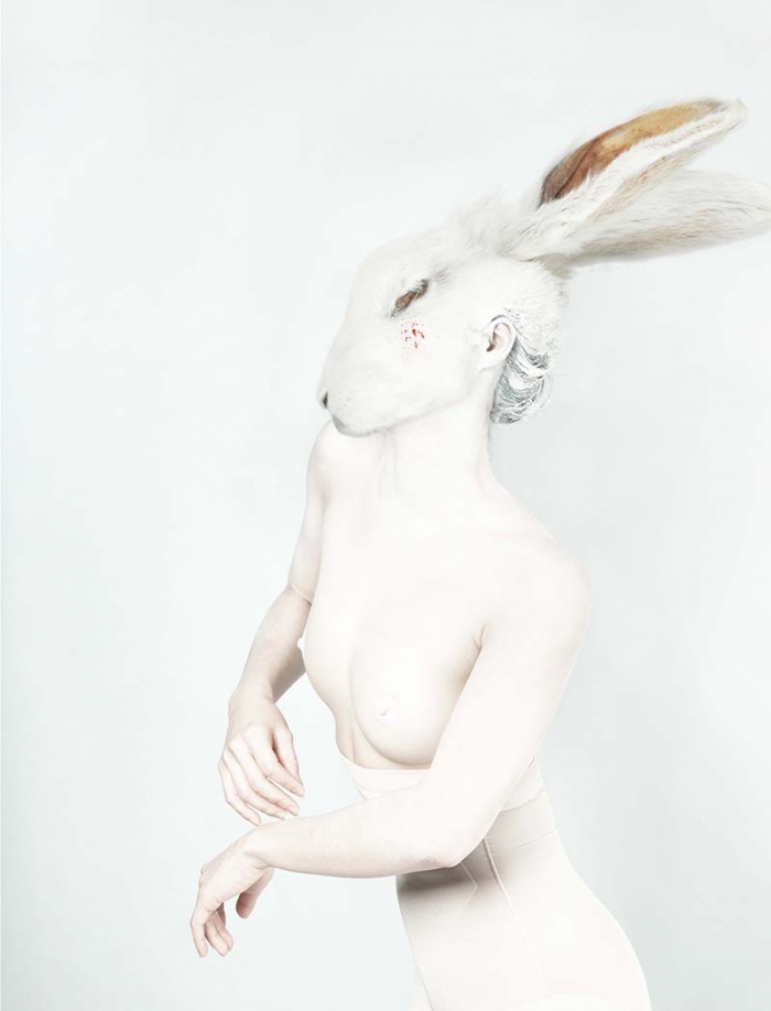 The White Rabbit