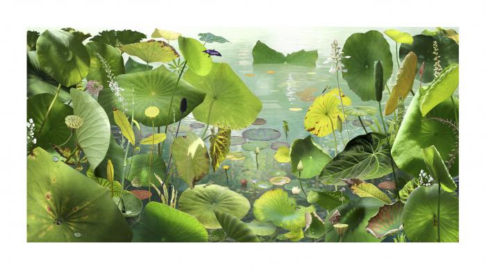 25 years of photo works / Ruud van Empel