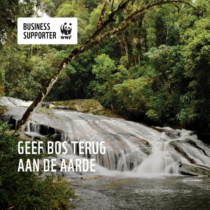 BUSINESS SUPPORTER WWF