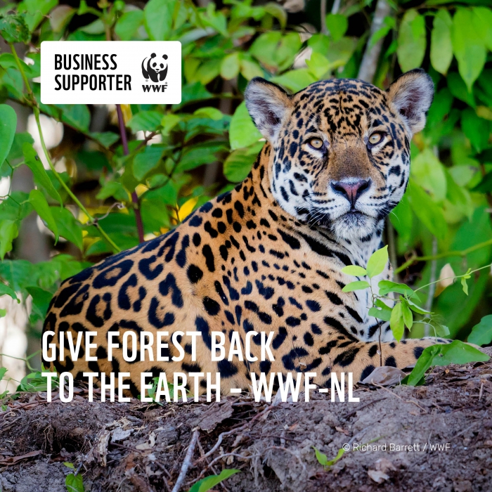 BUSINESS SUPPORTER WWF